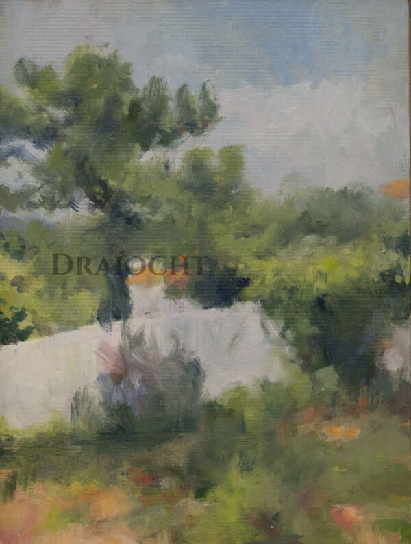 Summer Garden